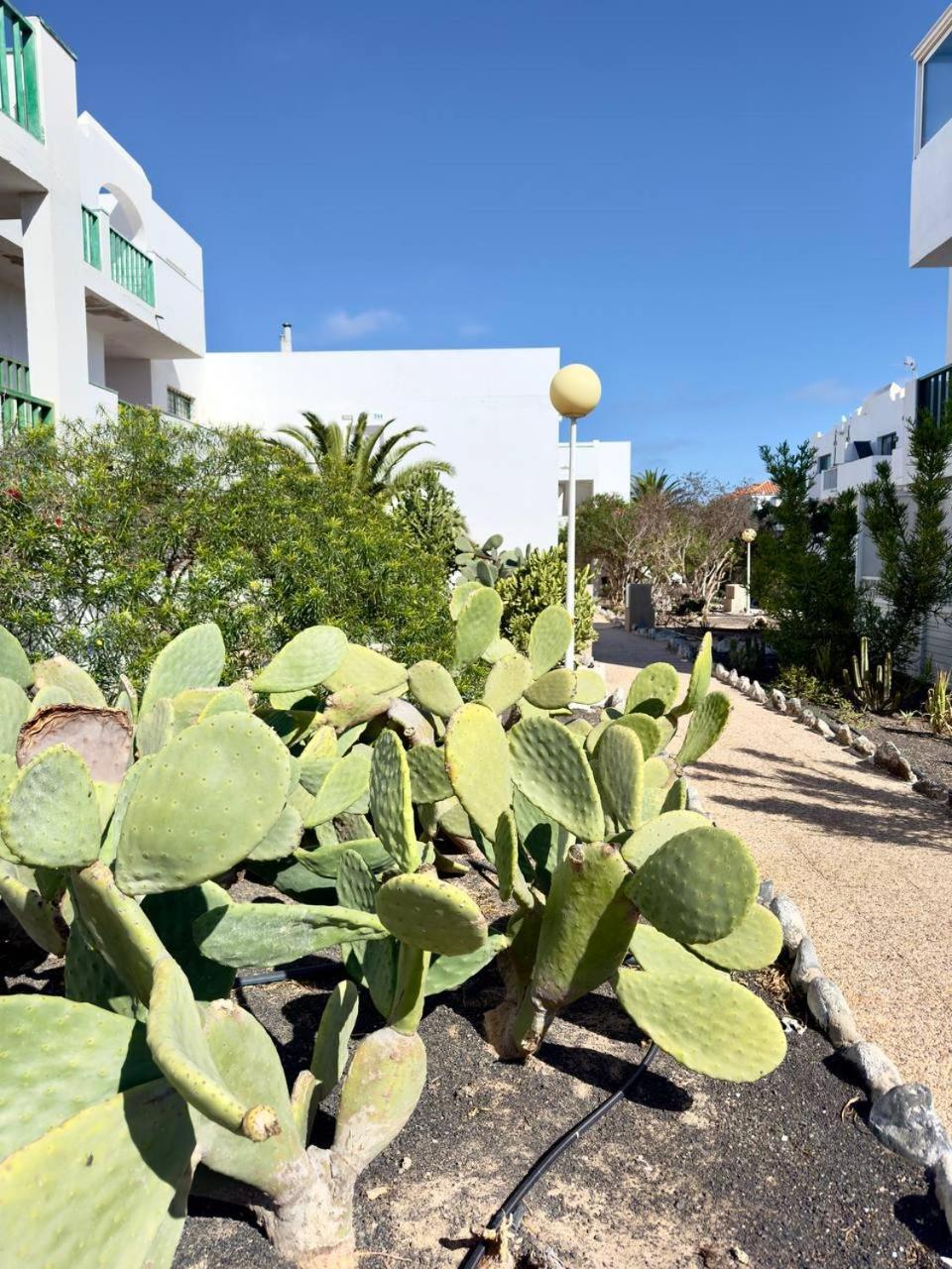 Casita Perla Blanca Apartment Costa De Antigua Exterior photo